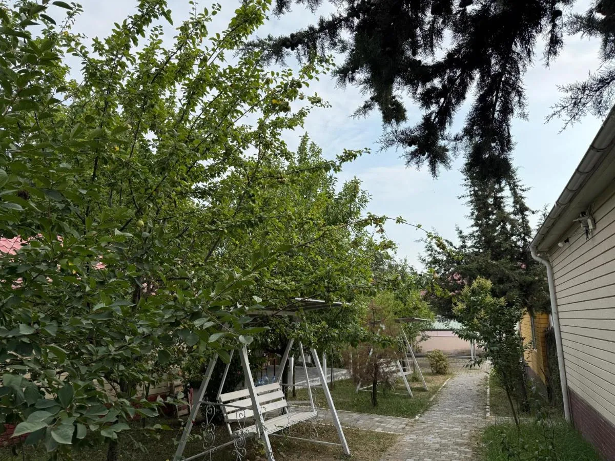 ⁨غابالا هوميس موسا⁩ — صورة 11