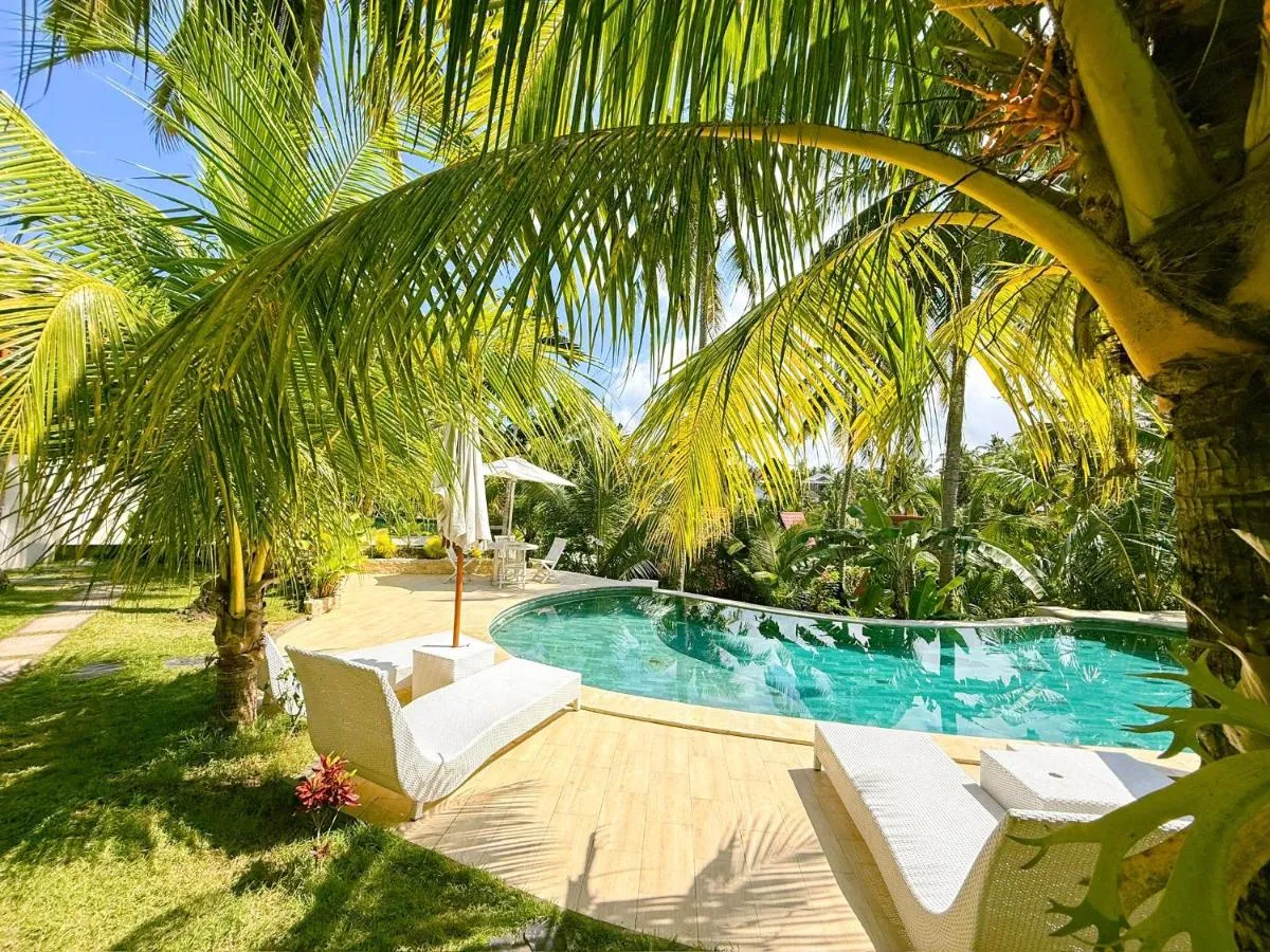 كلينغكينغ تروبيكال — صورة 2