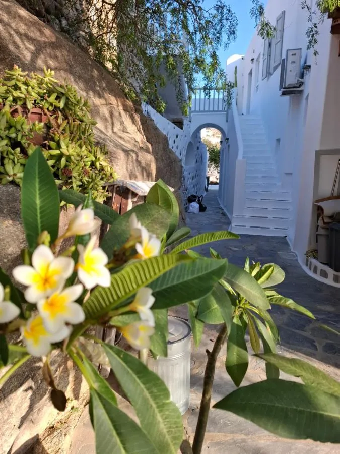 دبليو ميكونوس — صورة 2