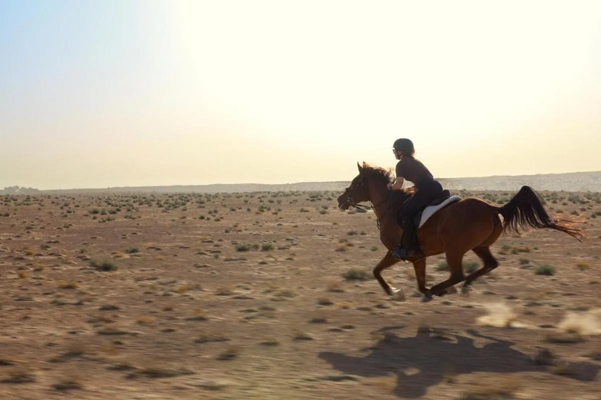 ال ماها, ا لاكشري سولليستيون ديسيرت منتجع & سبا, دوباي — صورة 4