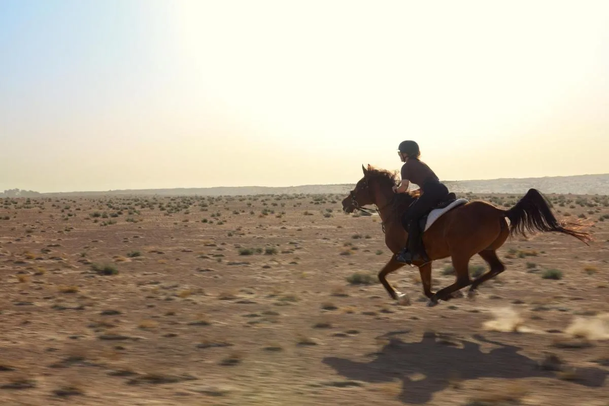⁨ال ماها, ا لاكشري سولليستيون ديسيرت منتجع & سبا, دوباي⁩ — صورة 4