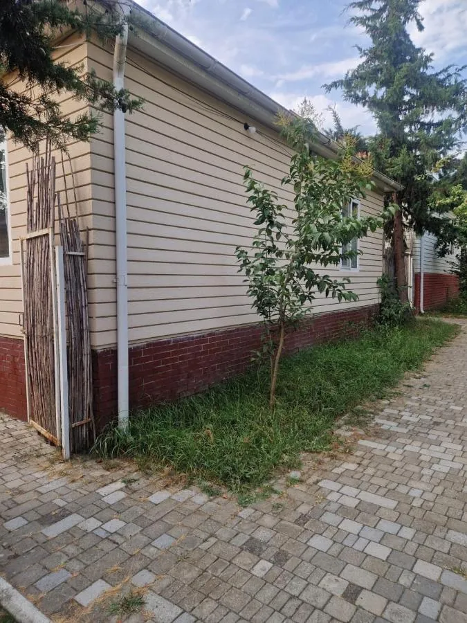 غابالا هوميس موسا — صورة 4