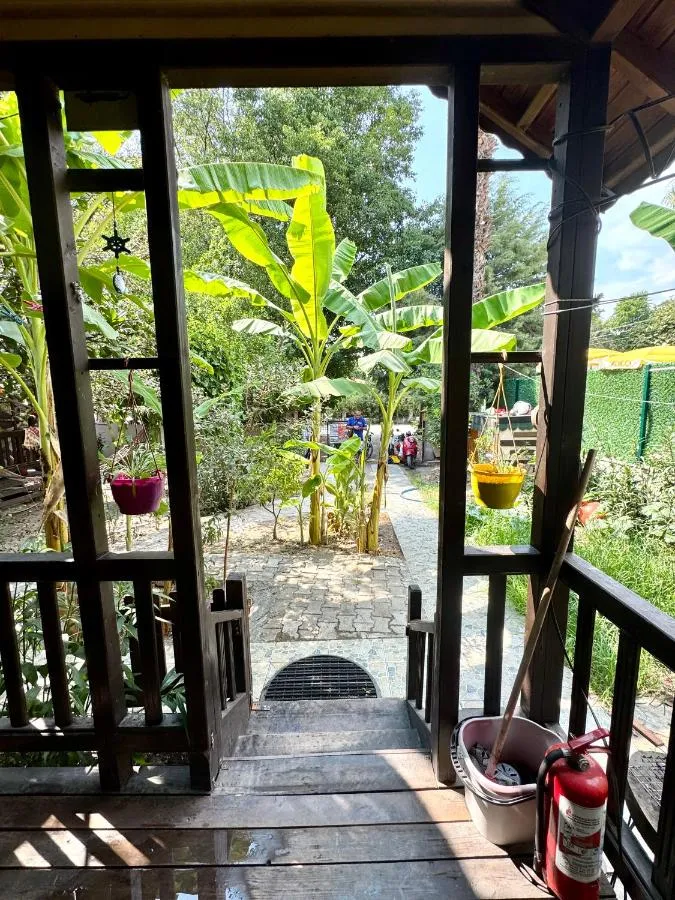 Villa Balm — صورة 2