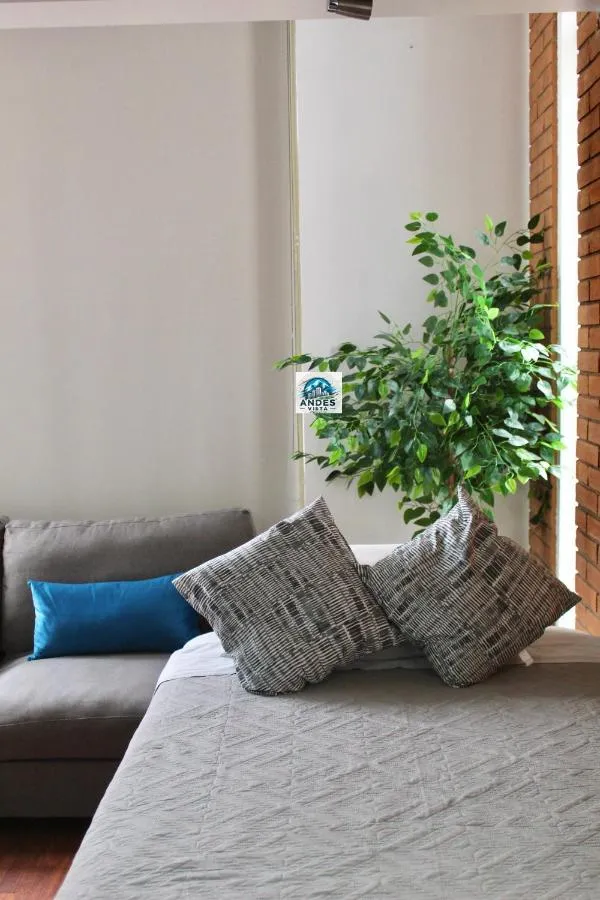 دبارتامنتو مودرنو فولل إكويبادو غنرال فلورس — صورة 3