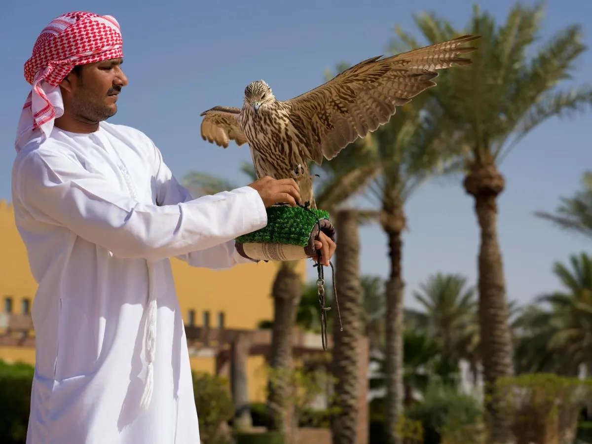 ⁨الدهافرا ديسيرت منتجع فيغنيتتي سولليستيون بي يهغ⁩ — صورة 6