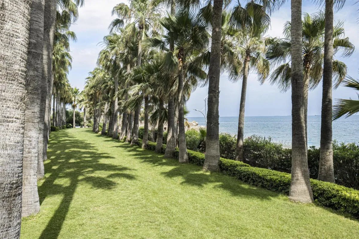 ميرسين هيلتونسا — صورة 4