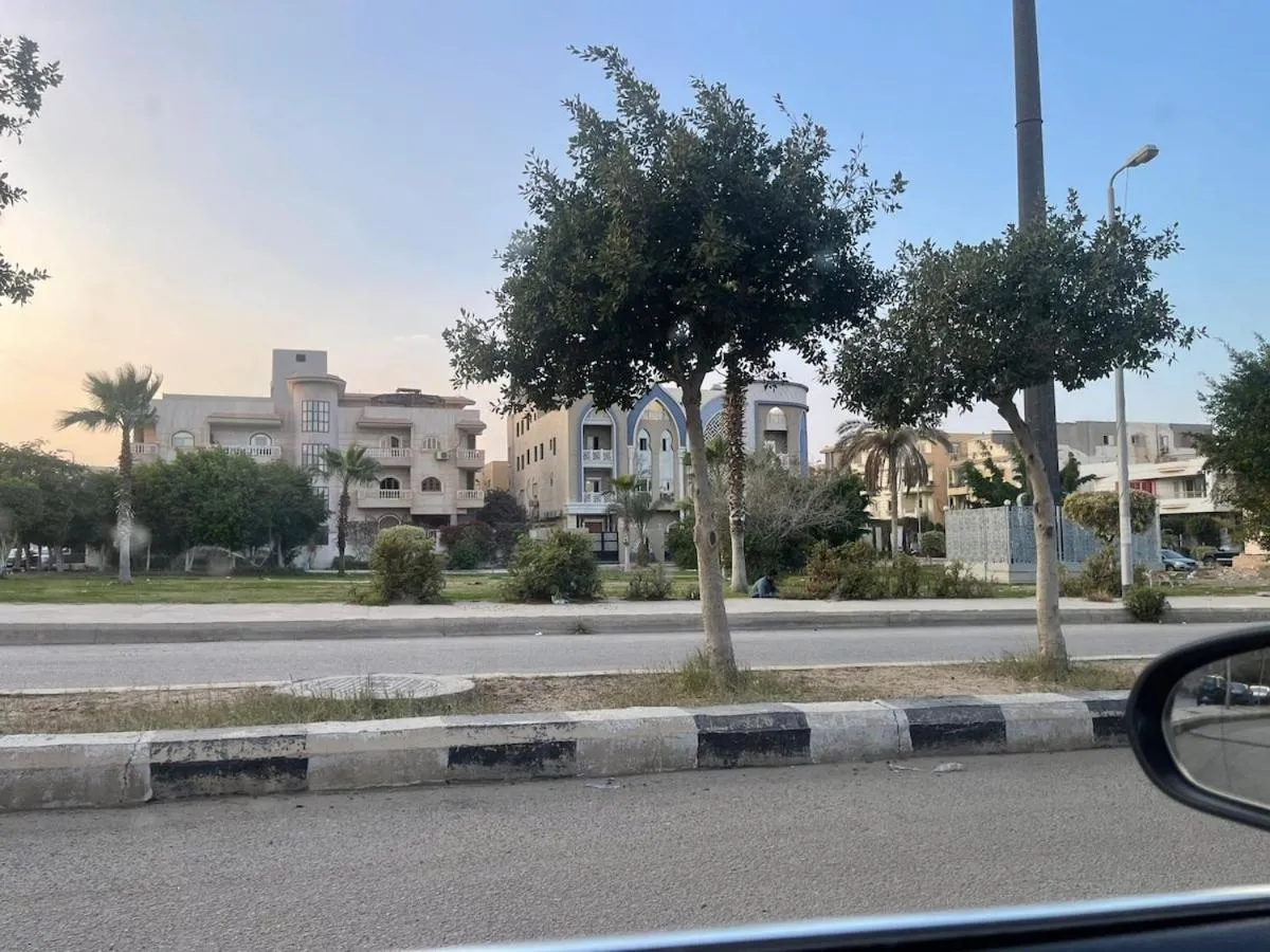 روزوود بلوسسوم — صورة 2