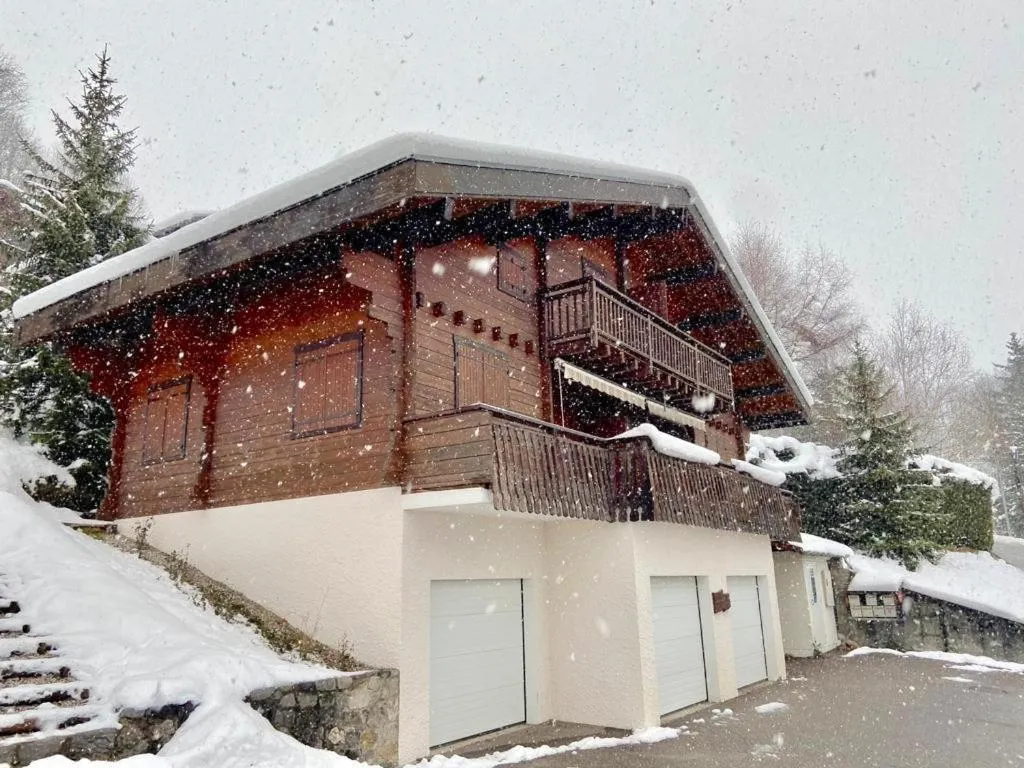 سهاليت اوكس سونفينس à بروكسيميتé دو تéلéسابيني دي بالمي - La Clusaz، فرنسا