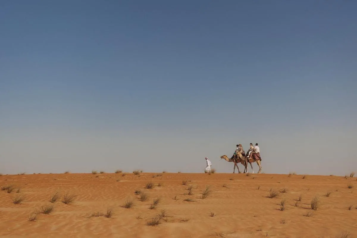 ⁨الدهافرا ديسيرت منتجع فيغنيتتي سولليستيون بي يهغ⁩ — صورة 27