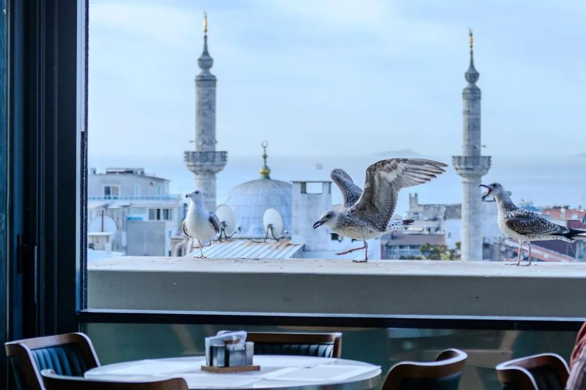 ⁨ليونس رويال⁩ — صورة 9