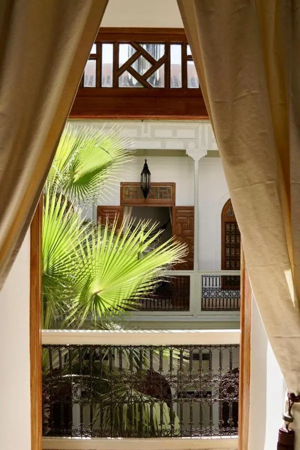 رياد تزاررا — صورة 4