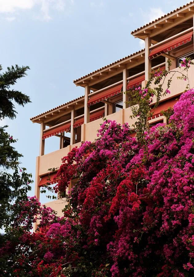 تهي مارغي — صورة 2