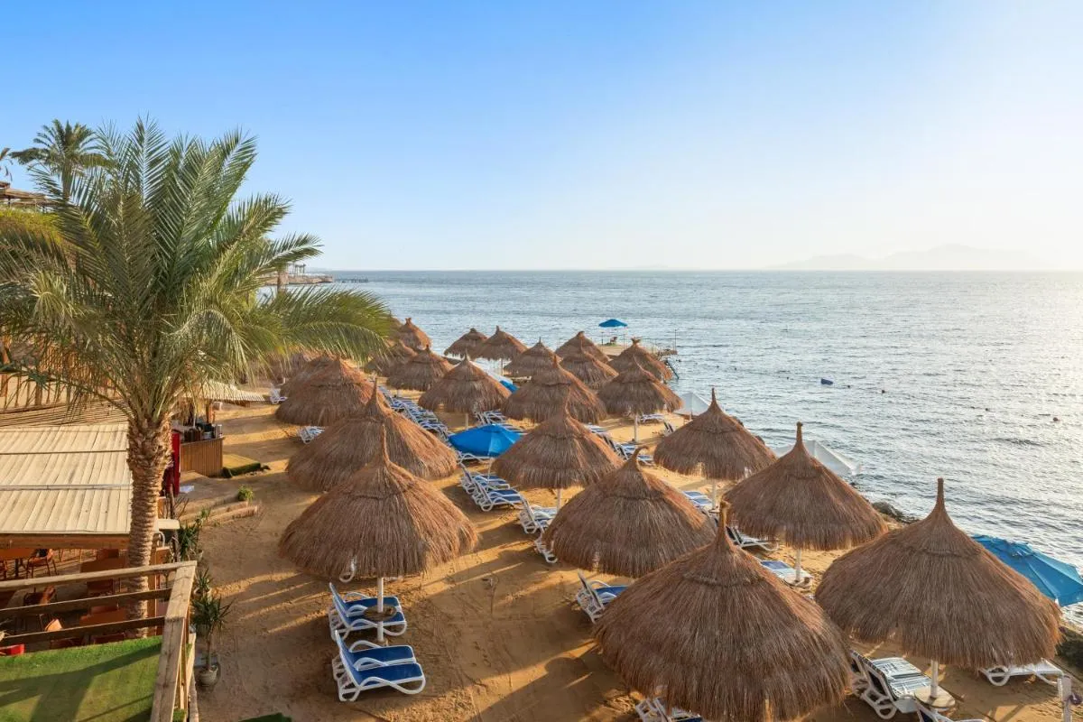 بيكالباتروس غولف لاكجري الل ينكلوسيف — صورة 4