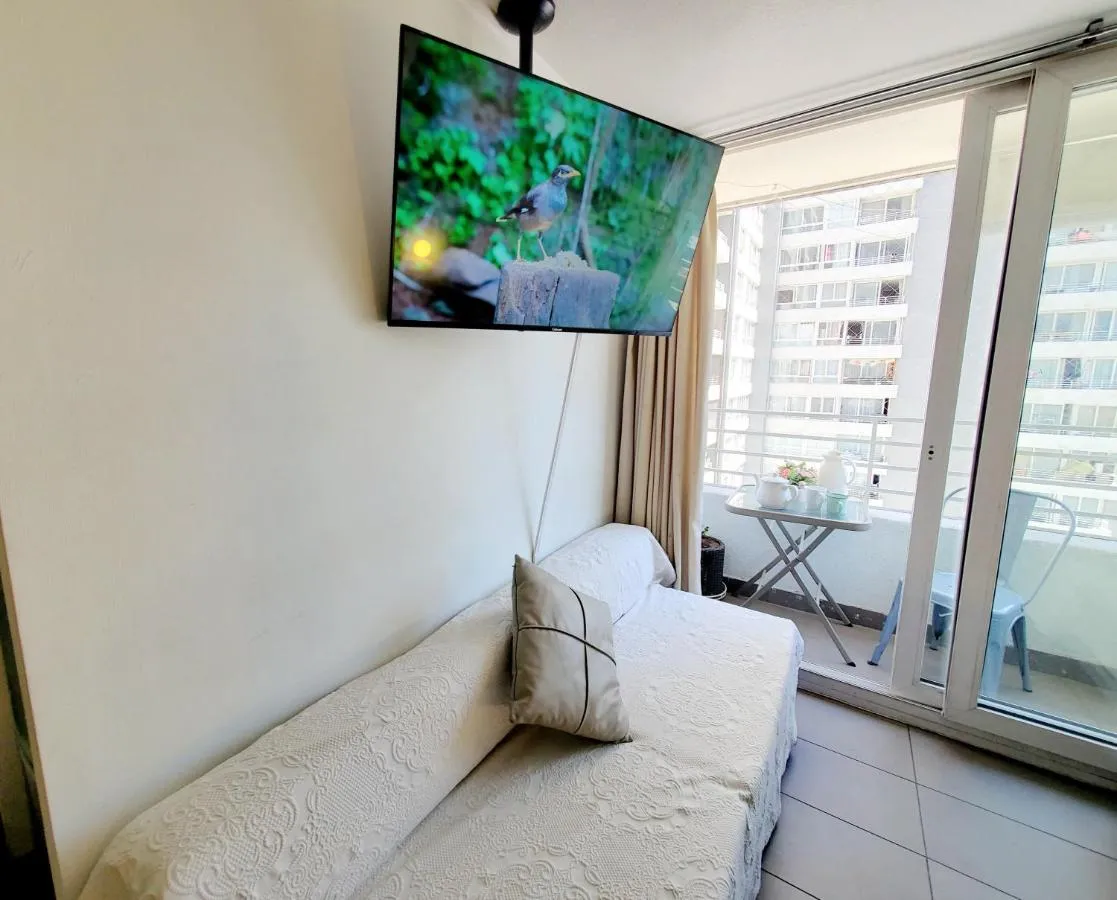 ا مترو ماتتا فانتاسيلانديا إستاديو ناكيونال ت كوبوليكان هوسبيتال سان بورجا — صورة 4