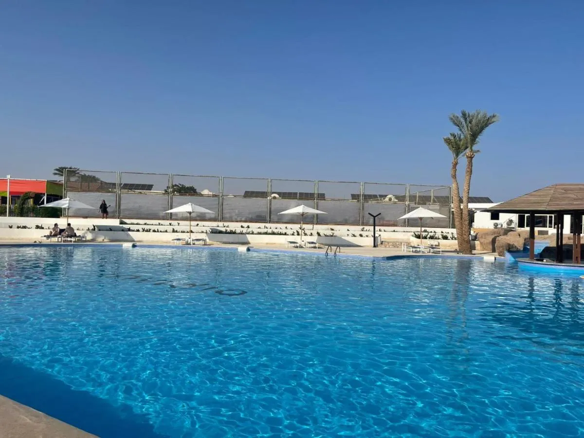 ⁨ينفيديا كورال بيتش تيران⁩ — صورة 68