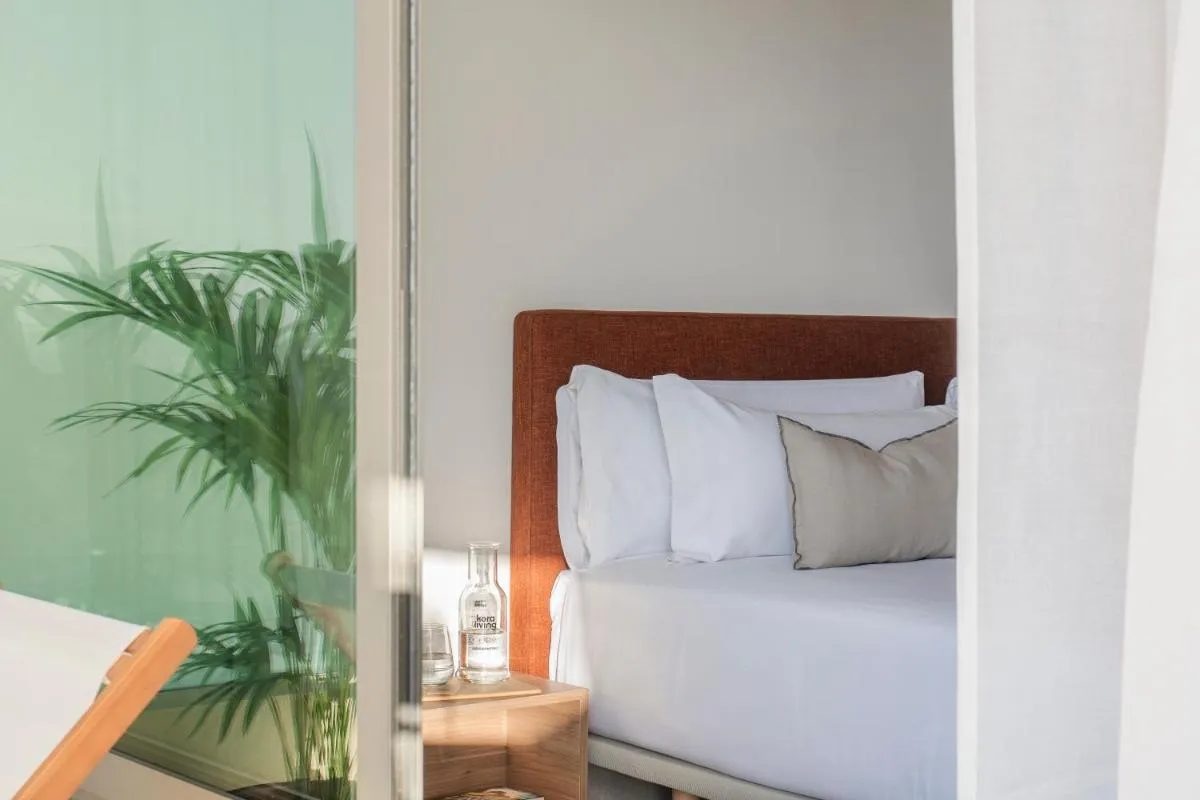 كورا تيغوت — صورة 3