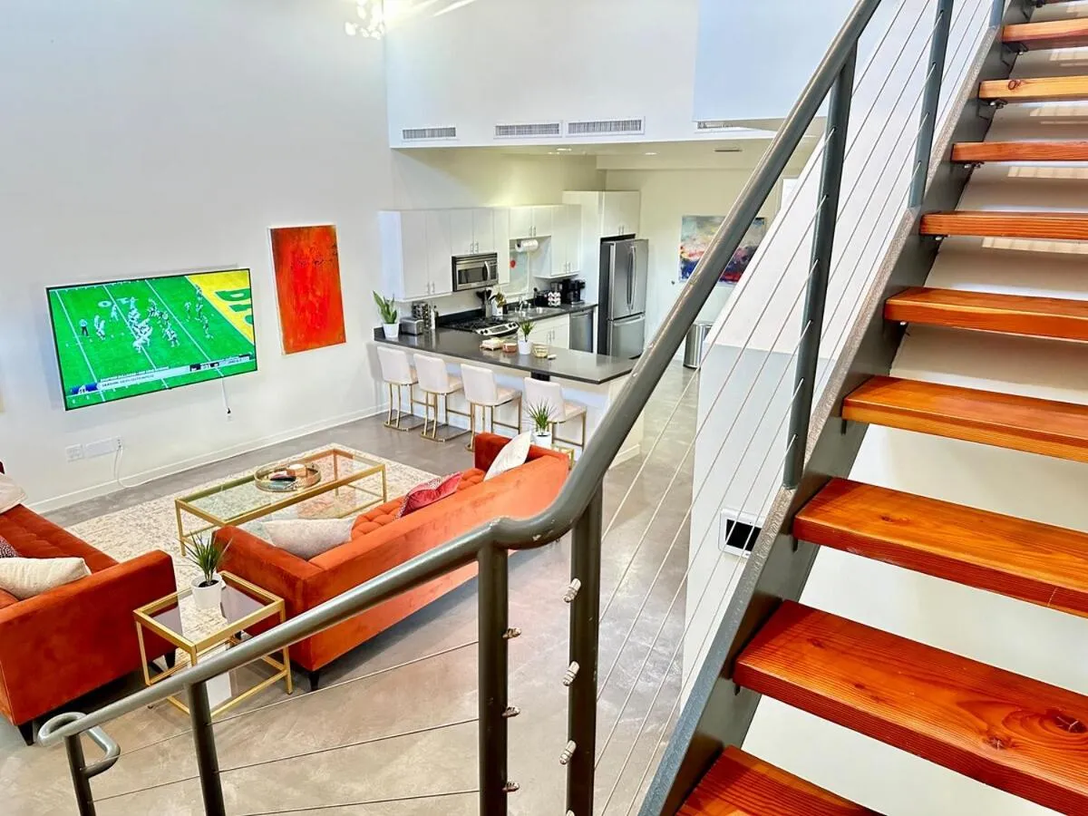 غاللري سبيشس بد با توو كينغ بدز — صورة 2