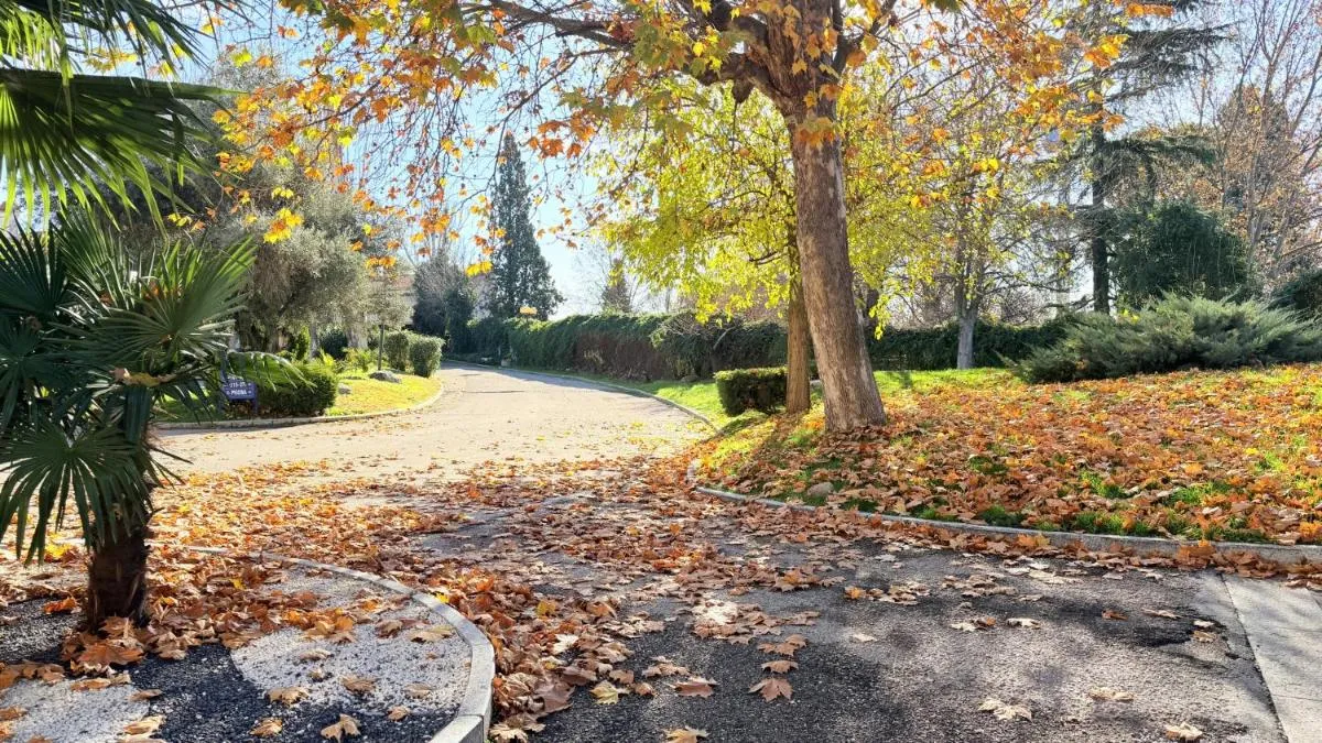 غران هوتيل لوس انغيليس — صورة 2