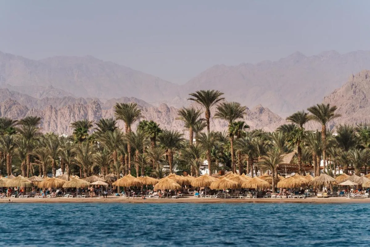 جاز شارم دريمس — صورة 3
