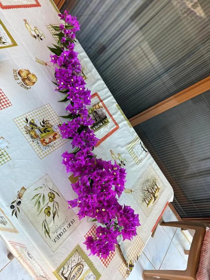⁨Cactus Garden Kalkan - Club Patara Villas⁩ — صورة 26