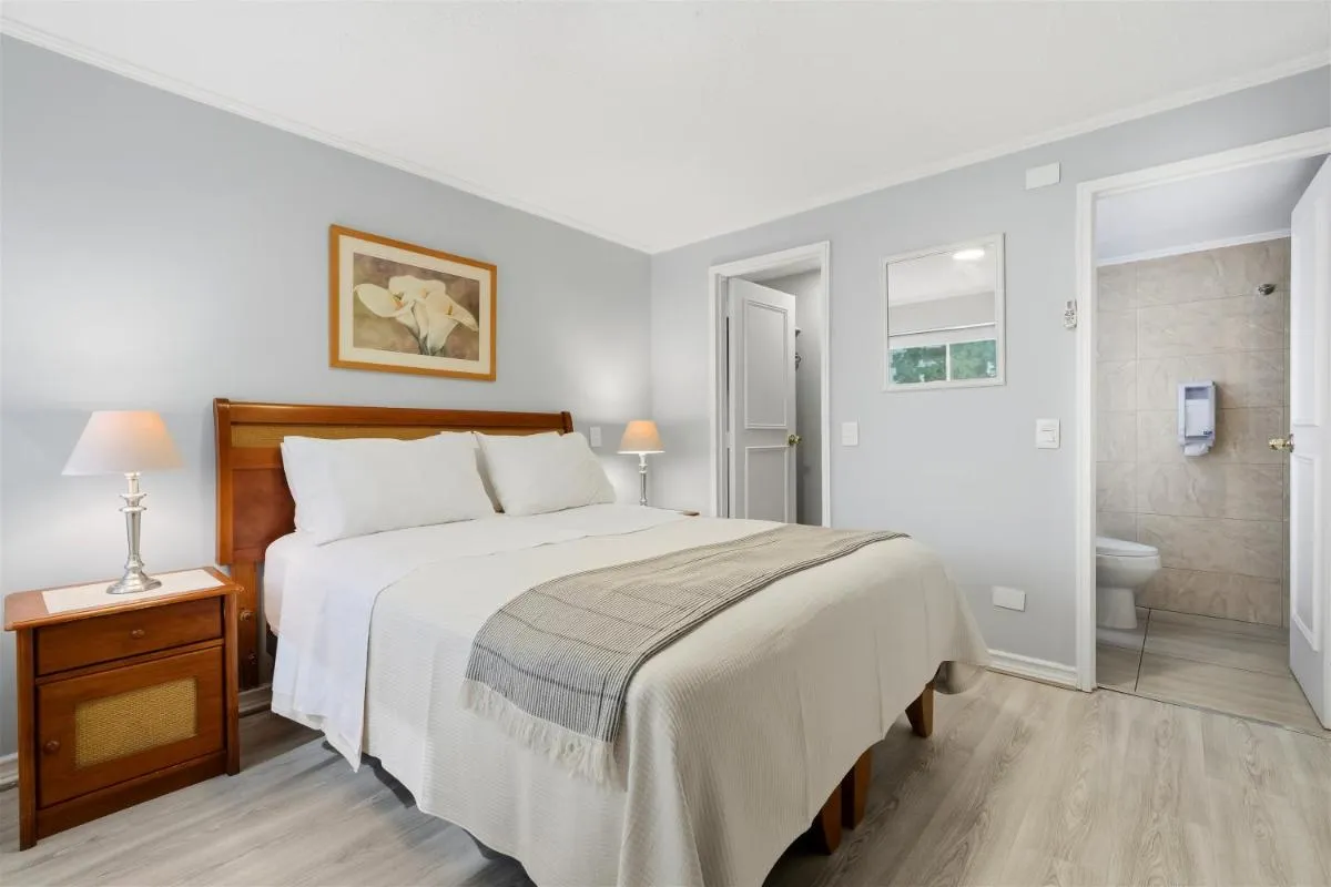 يسابل فيتاكورا — صورة 4