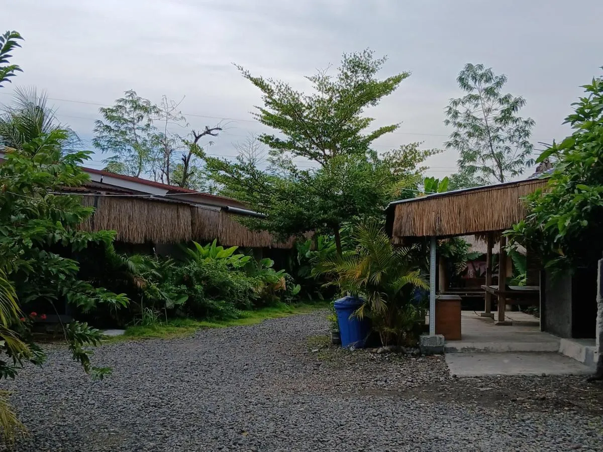 تهي بالي وياان - لومبوك، إندونيسيا