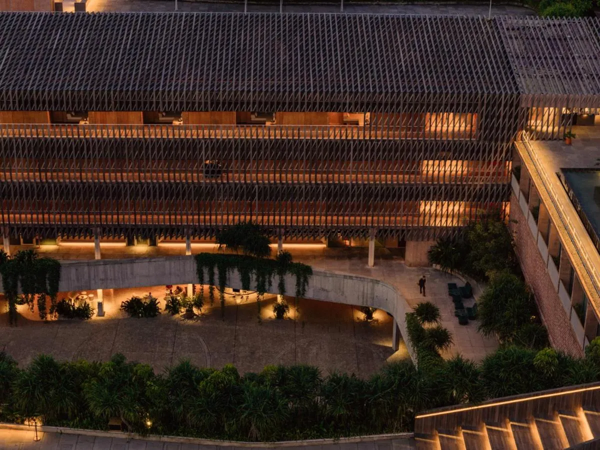 ديسا بوتاتو هيد — صورة 3