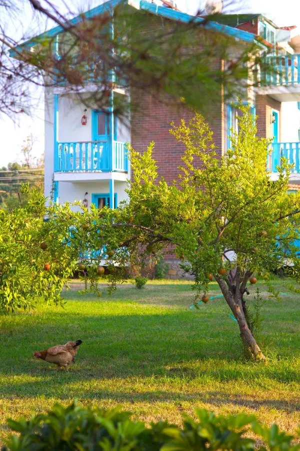 Yonca Lodge - فتحية، تركيا