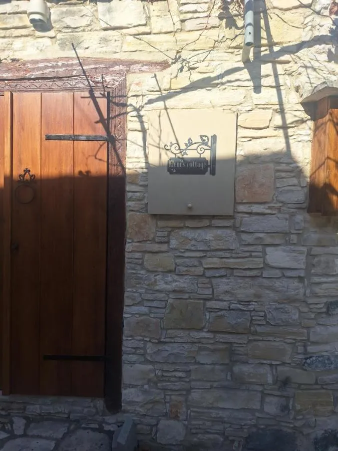 يليني'س سوتتاغي — صورة 3