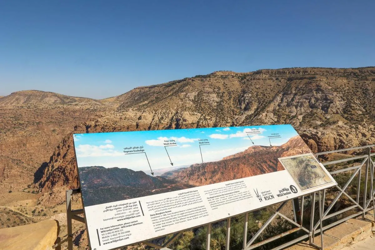 دانا غويستهووسي — صورة 4