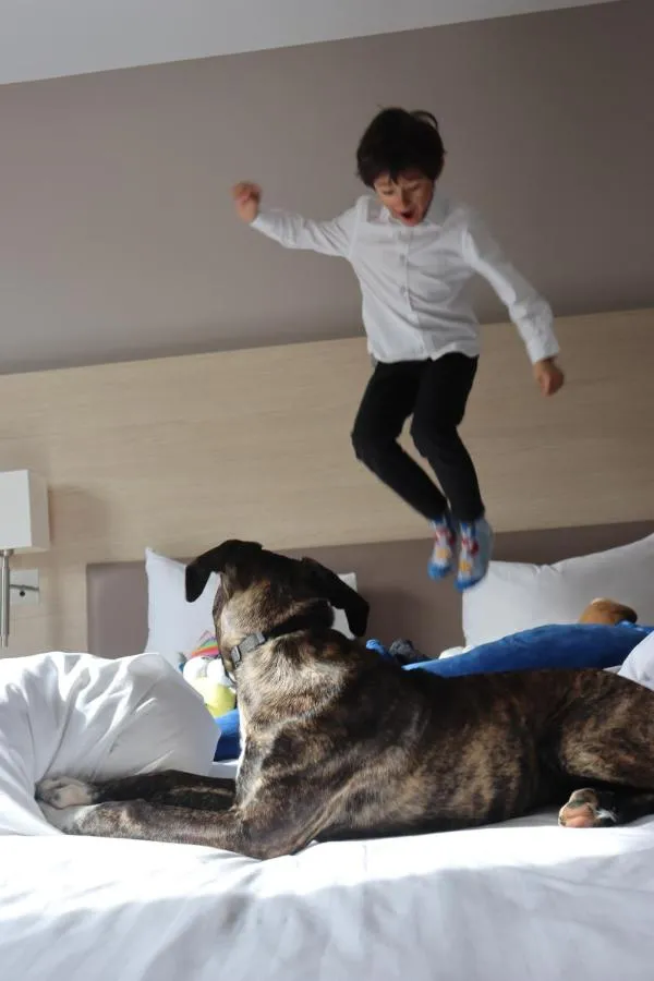 كورتيارد ماريوت باريس لا ديفانس كولومب — صورة 4