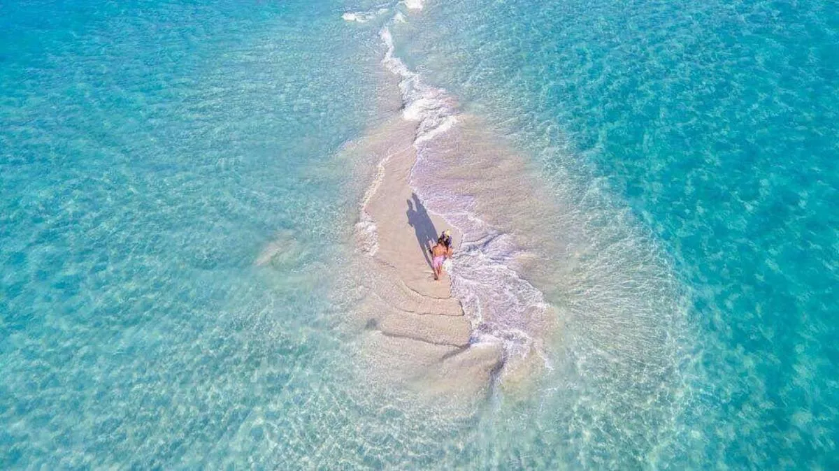 ⁨باتوتا مالديفيس سورف فييو⁩ — صورة 16