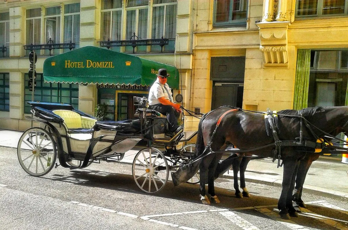⁨فندق دوميزيل فيينا⁩ — صورة 6