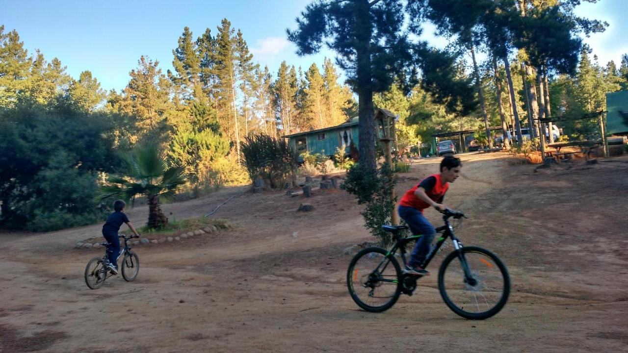 Caba�as Villa Altu�