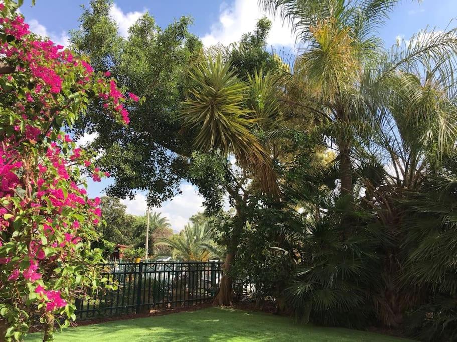 Pool & Garden - Housity