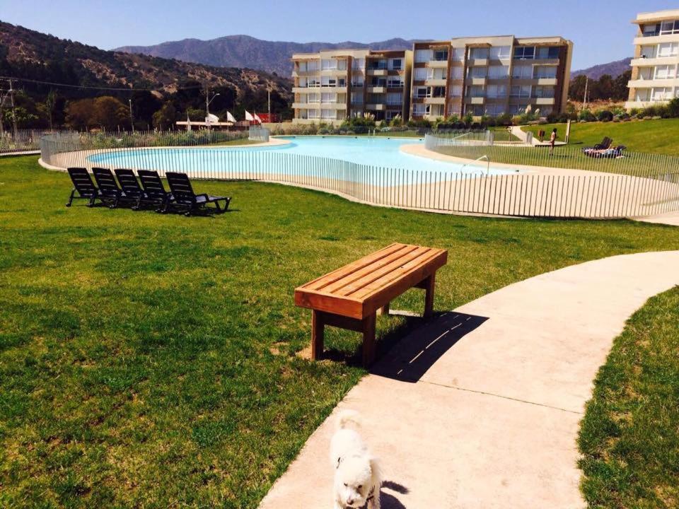 Hayde� Lomas de Papudo IV