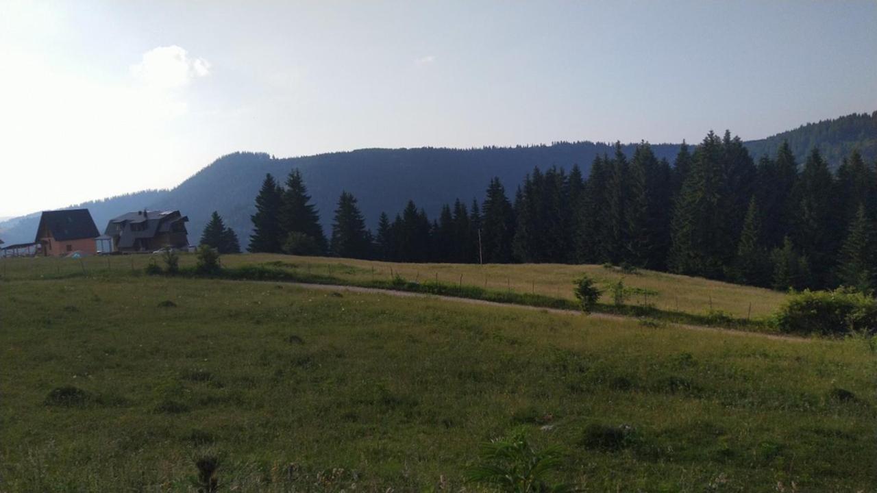 Mirza - Housity