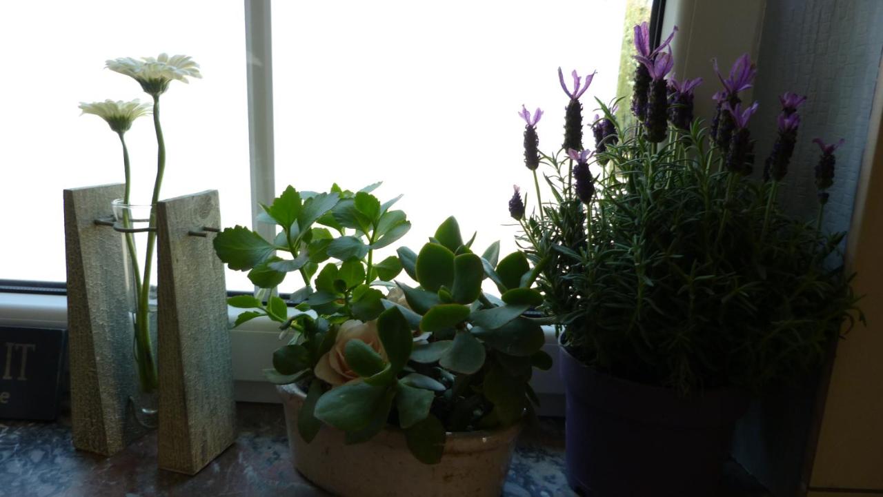 Villa Mosane La Plante Namur - Housity