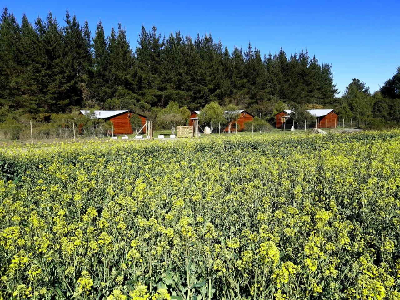 Caba�as Los Ciervos