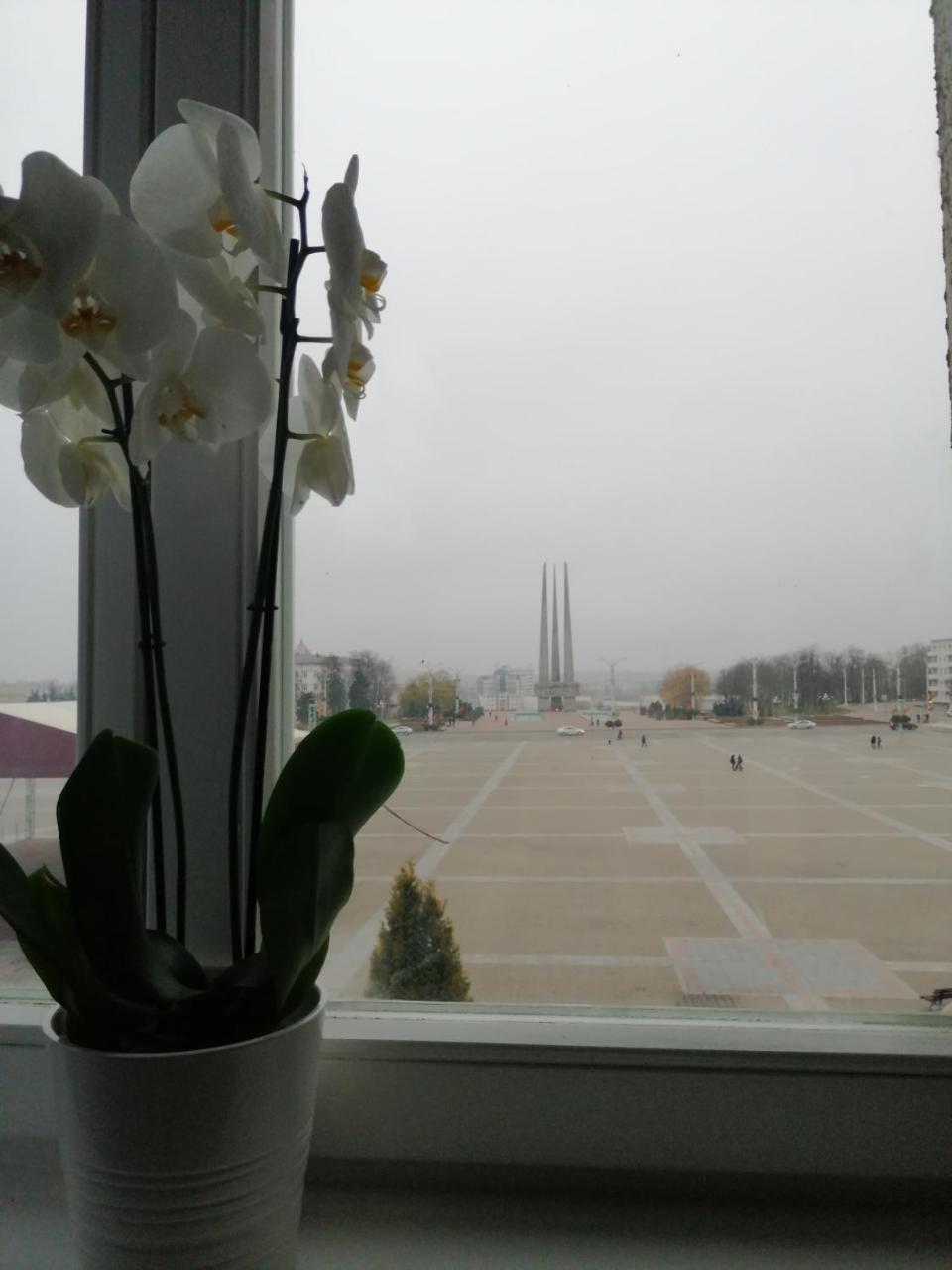 DILERA s on Moskovsky Prospekt 8 - Housity