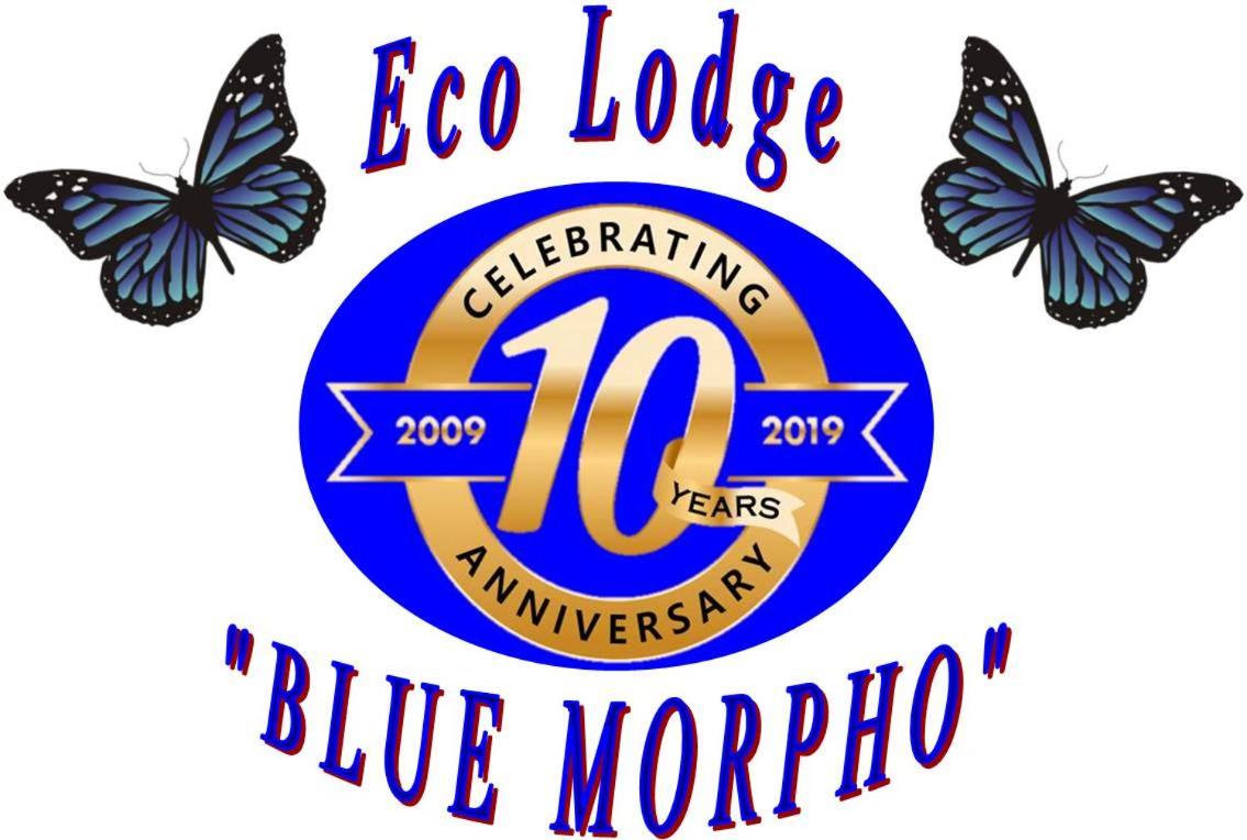 Image: Ecolodge Blue Morpho