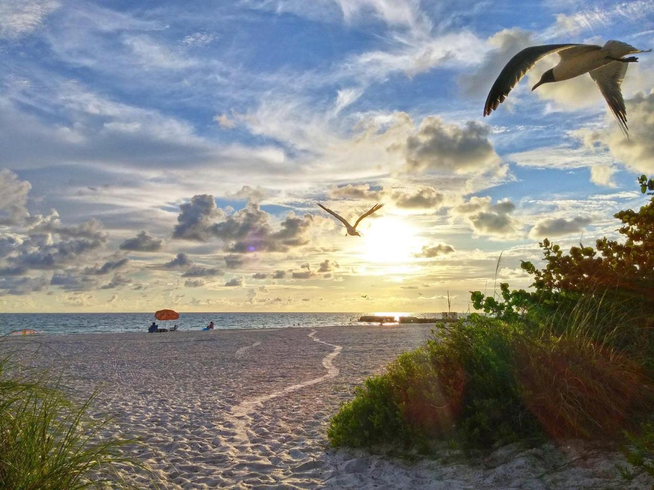 Image: Turtle Crawl Inn - Longboat Key