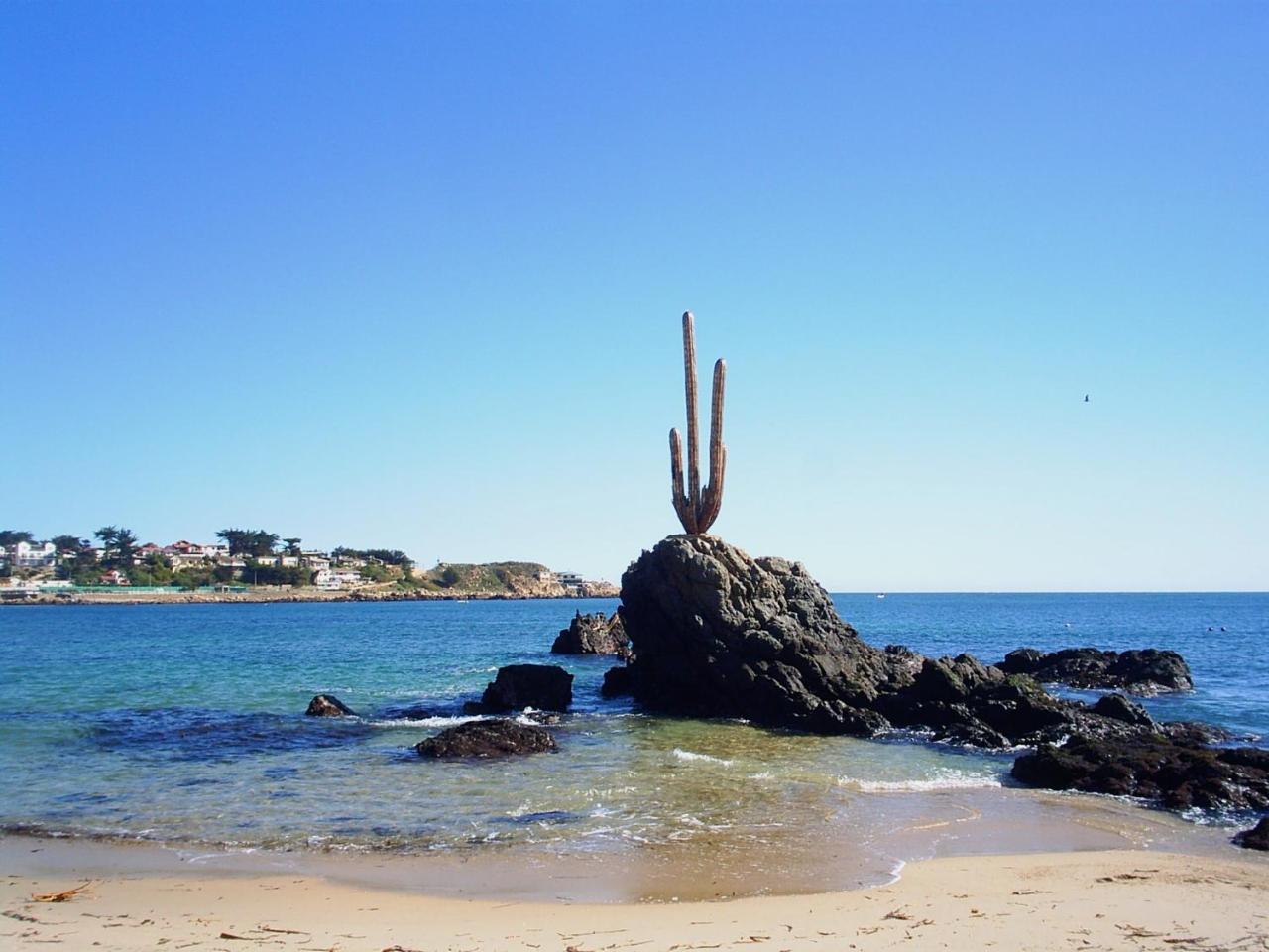 CABA�A QUISQUE�A