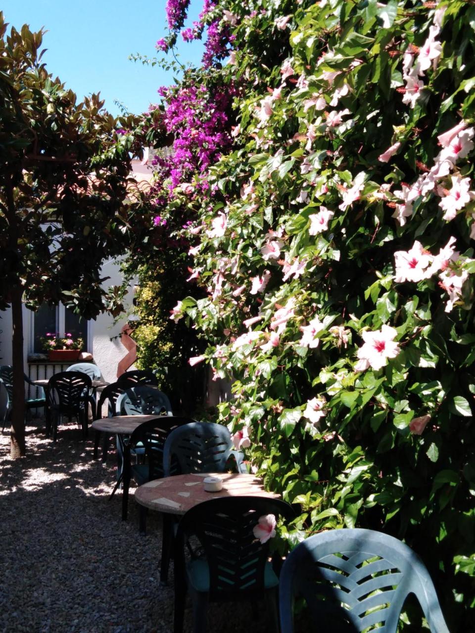 Image: Hotel Mitus