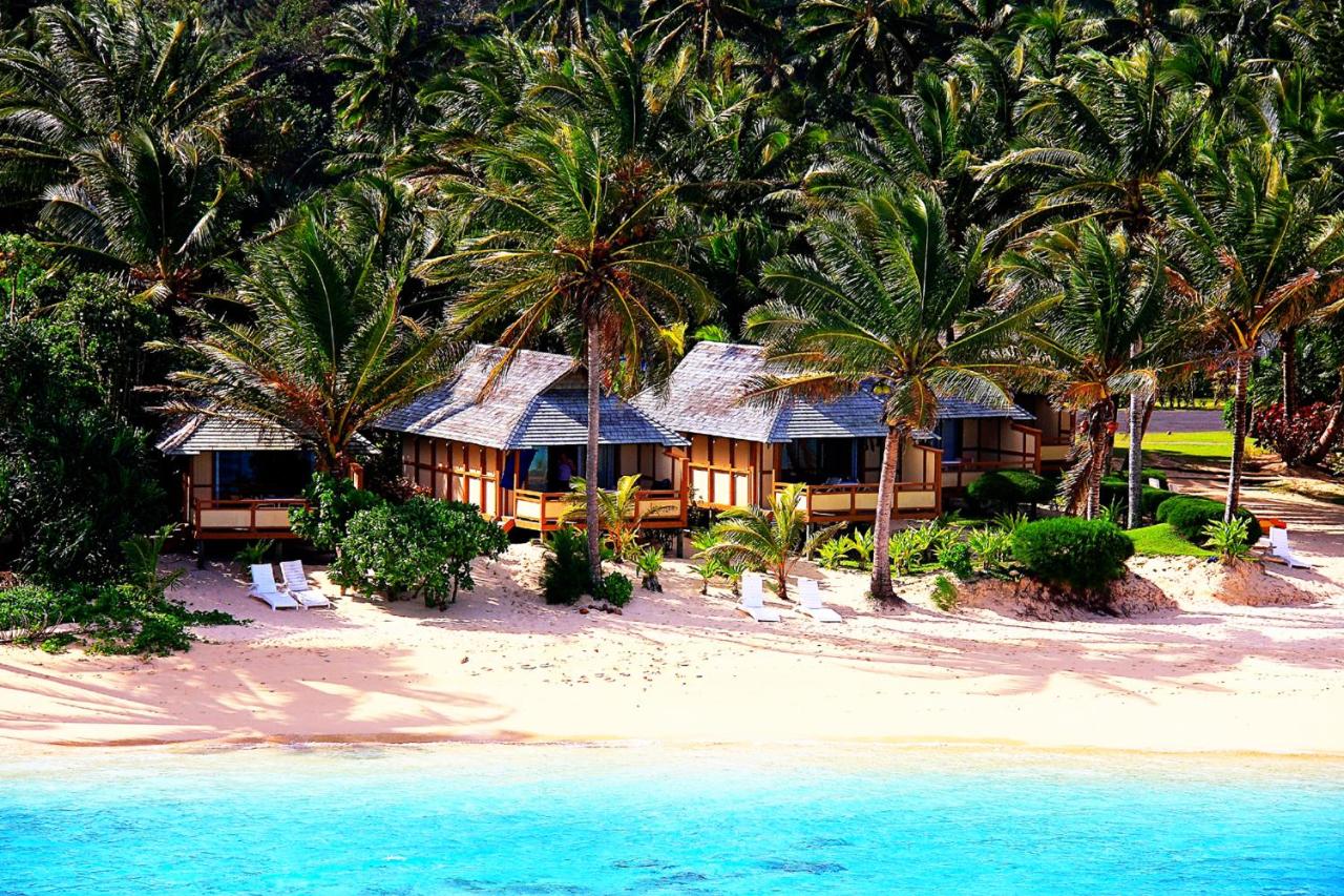 Image: Palm Grove