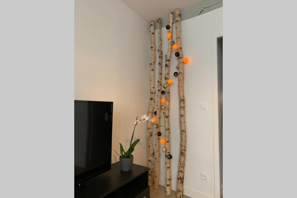 Appartement 2 pièces charmant en coeur de ville ! - Housity