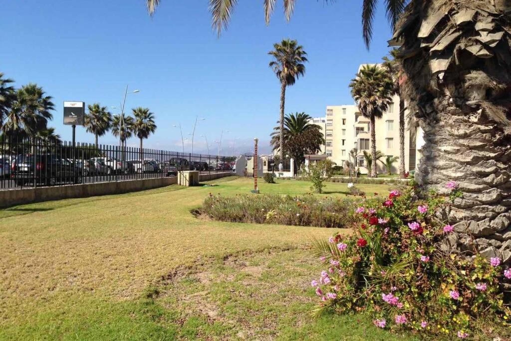 Primer piso frente al mar acceso directo jardines