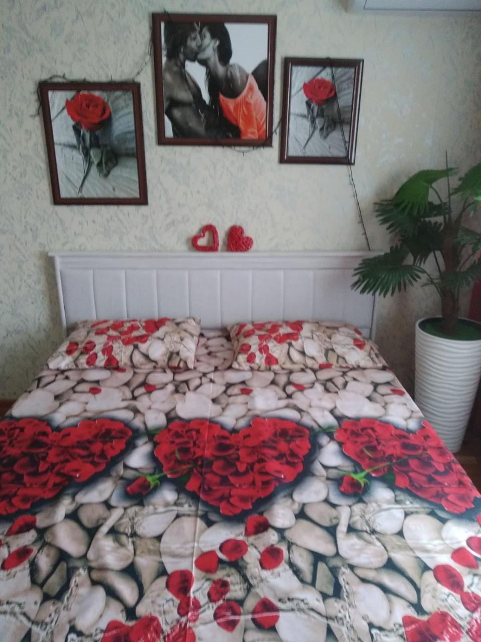 Alex 85 - Housity
