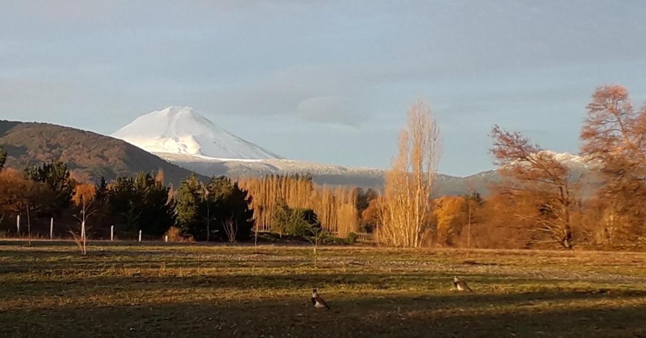 Ailin caba�a-curacautin