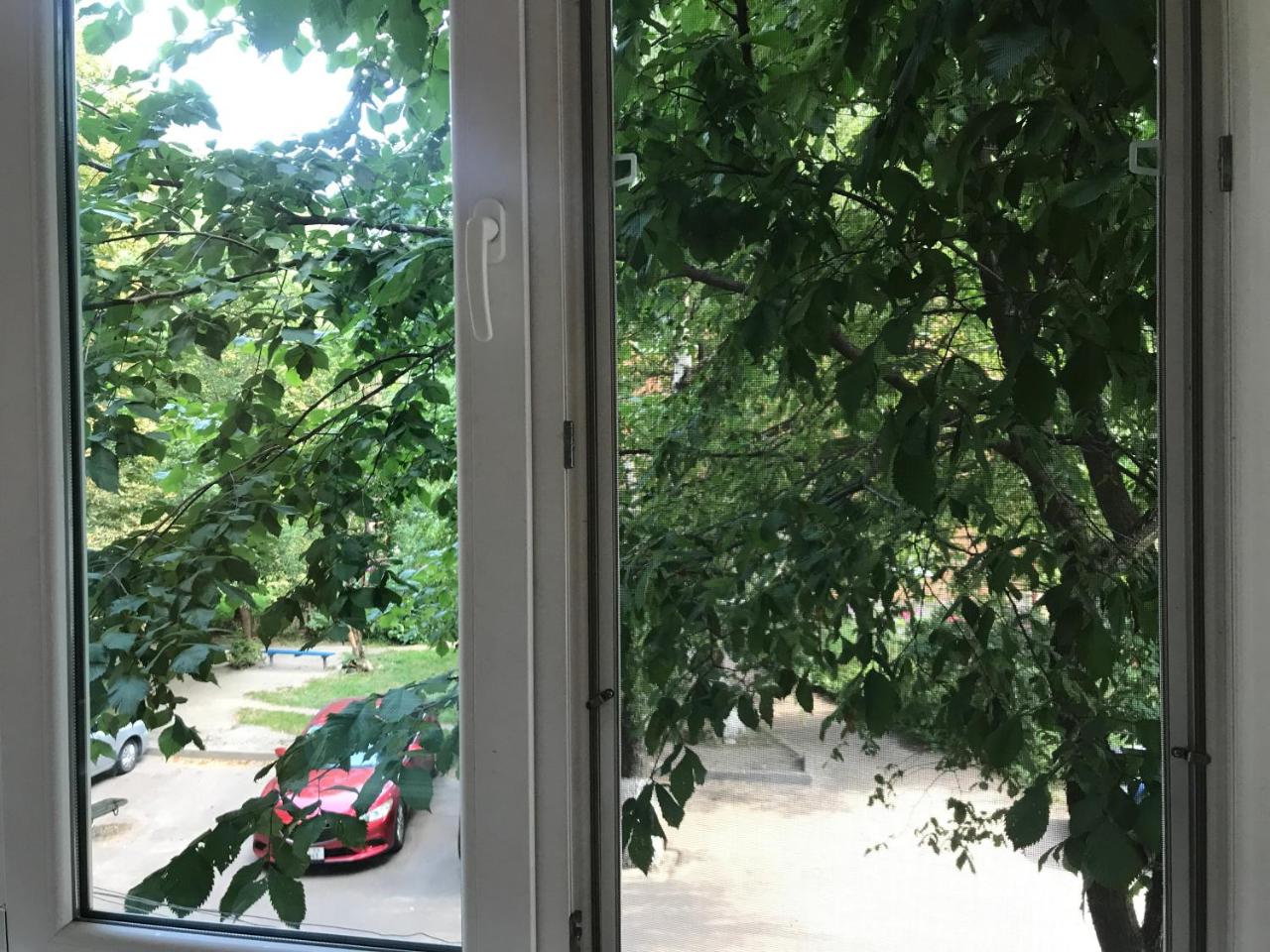 in the heart of Zhytomyr (near Mykhailivska street) - Housity
